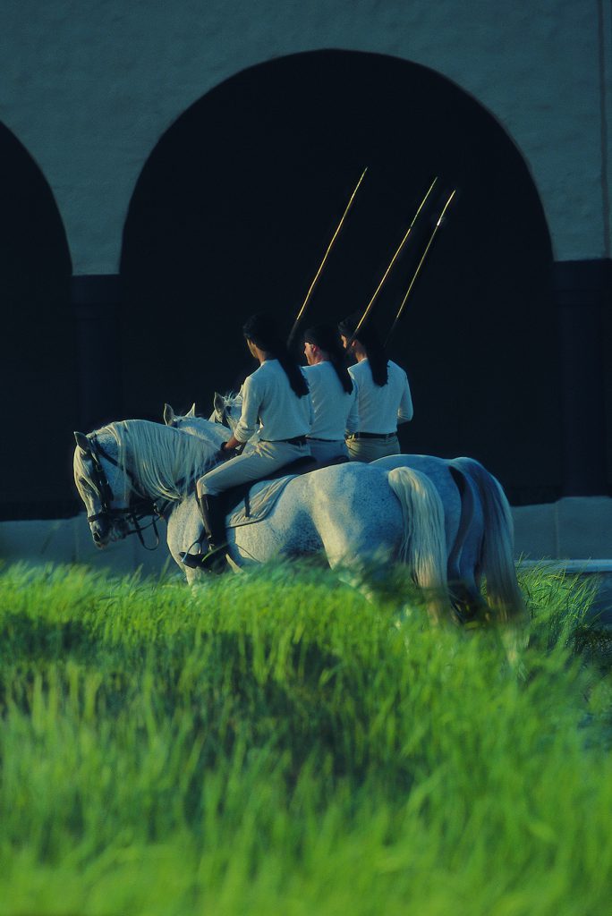 Florian Wagner - Royal Institute of Arabian Horsemanship